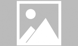 娱乐圈吃瓜王宝强,娱乐圈吃瓜王，揭秘明星背后的故事