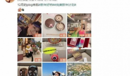 娱乐圈吃瓜爆料文件,明星背后的惊人真相